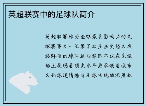 英超联赛中的足球队简介